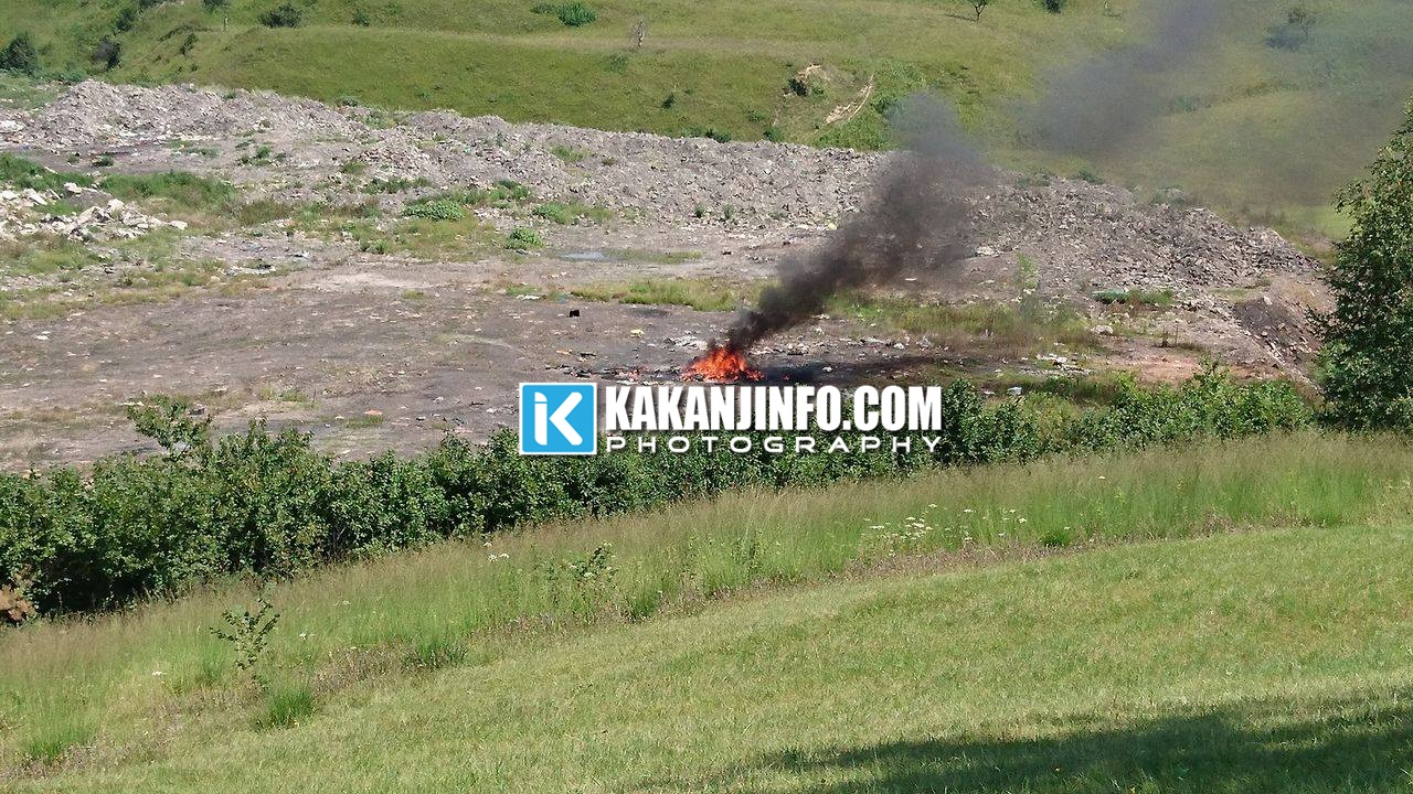 13918588_1202647346433386_1475414394_o