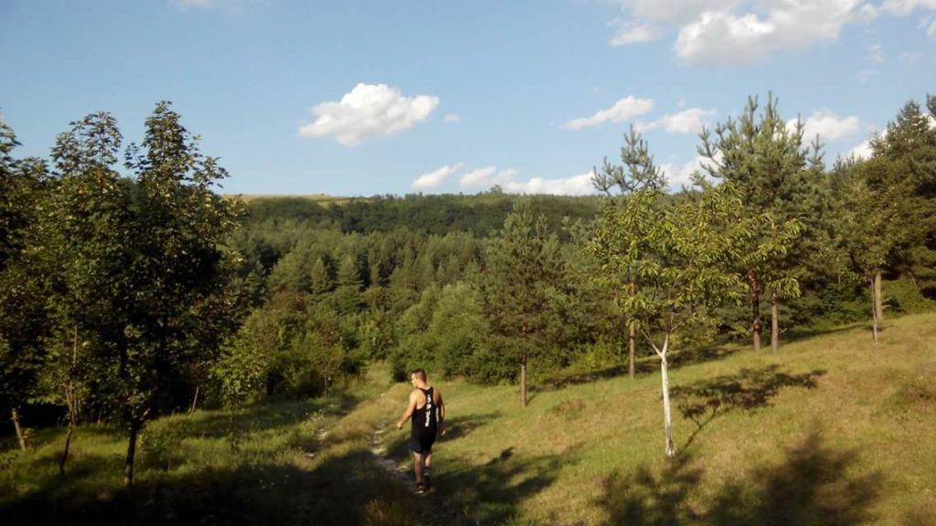 Dino Šabanović (boks)